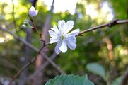DSCF6227_R