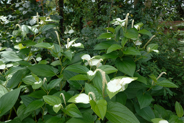 DSC08501_R