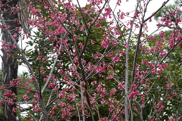 DSC05803_R