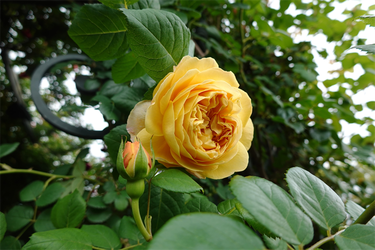 DSC07288_R