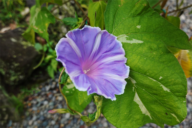 DSC09100_R