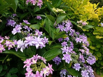 DSC00977_R