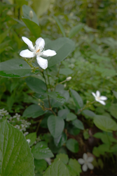 DSC09051_R