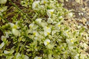 DSCF4743_R