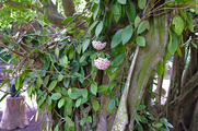 DSCF4317_R