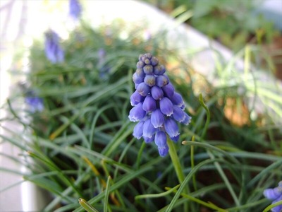 DSCF4786_R