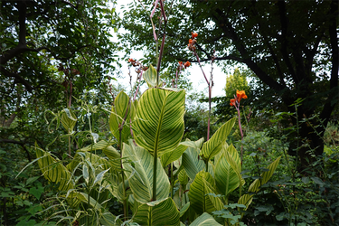 DSC07464_R