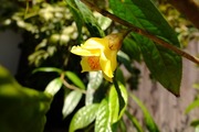 DSCF0845_R