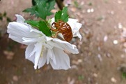 DSCF3856_R