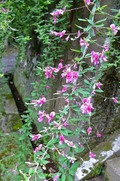 DSCF5042_R