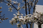 DSCF0242_R