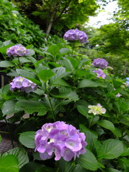 DSCF0391
