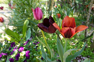 DSC06636_R