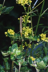 b697c79c.jpg