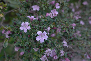 DSC05962_R