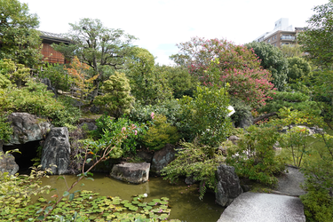 DSC09966_R