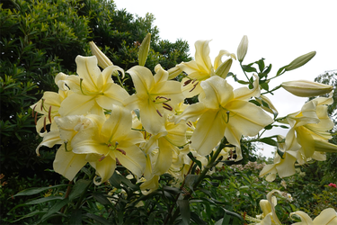 DSC08561_R