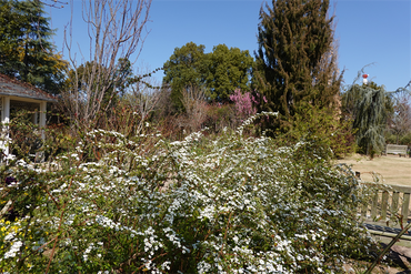 DSC05897_R