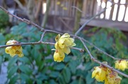 DSCF0759_R
