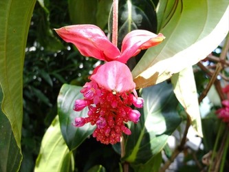 DSCF9220_R