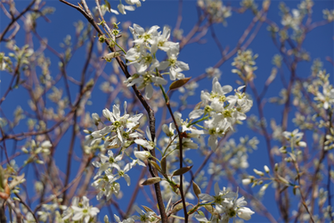 DSC06463_R