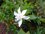 DSCF4725_R
