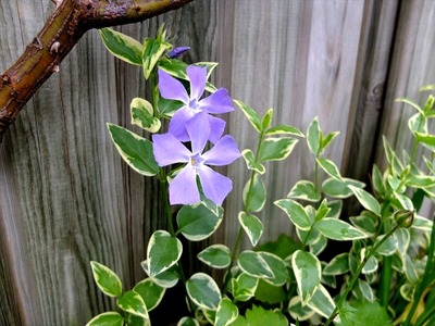 DSCF4969_R