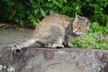 DSC09630_R
