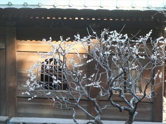 DSCF8445_R