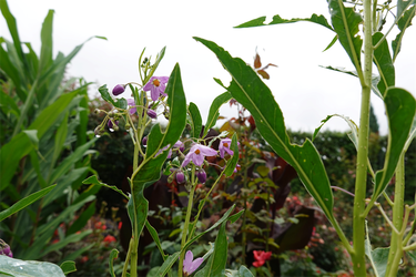 DSC08604_R