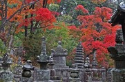 DSCF7491_R