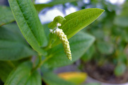 DSCF3773_R
