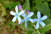 DSCF5821_R