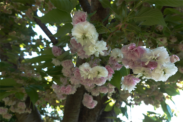 DSC06724_R