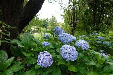 DSC08565_R