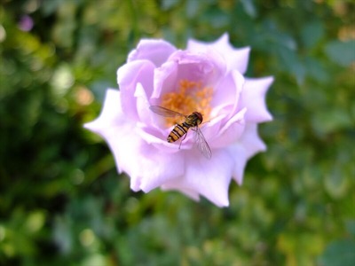 DSCF9318_R