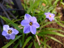 DSCF7563_R