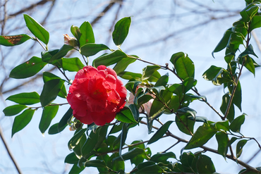 DSC06278_R