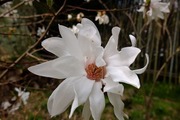 DSCF0556_R