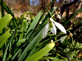 DSCF8261_R