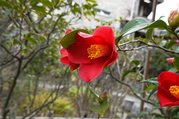 DSC05796_R