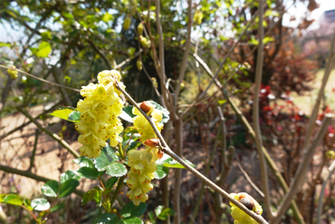 DSC06174_R