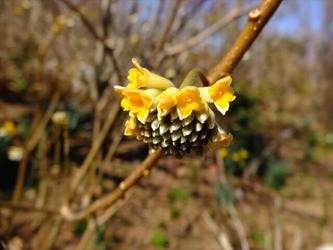 DSCF8249_R