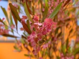 DSCF2112_R