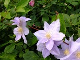 DSCF2264_R