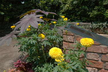 DSC08773_R