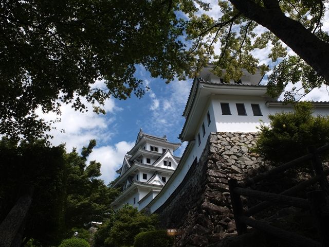 DSCF3799_R