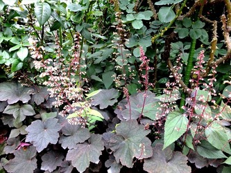 DSCF1283_R