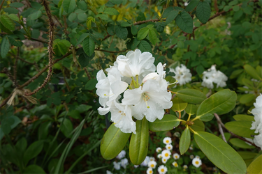 DSC06876_R