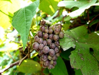 DSC01289_R
